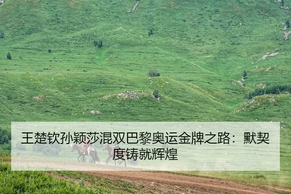 王楚钦孙颖莎混双巴黎奥运金牌之路：默契度铸就辉煌