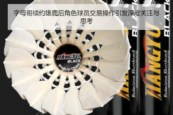 字母哥续约雄鹿后角色球员交易操作引发深度关注与思考