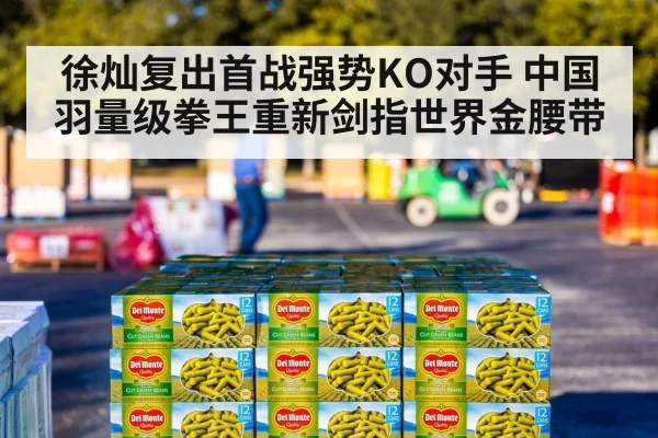 徐灿复出首战强势KO对手 中国羽量级拳王重新剑指世界金腰带