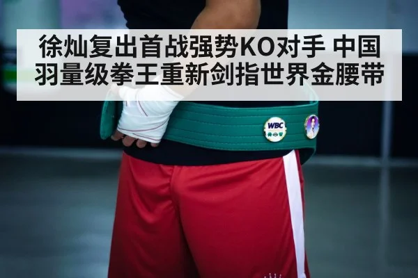 world title belt boxing